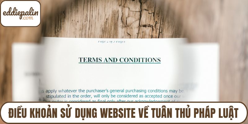 Điều khoản sử dụng website về tuân thủ pháp luật