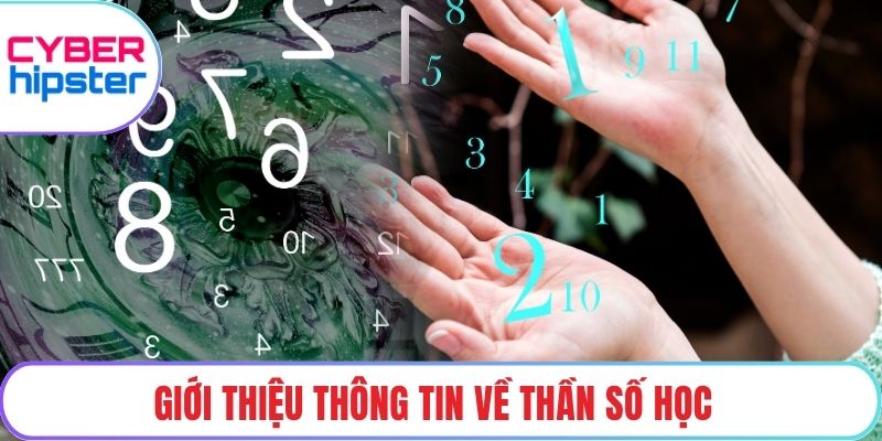 Giới thiệu thông tin về thần số học