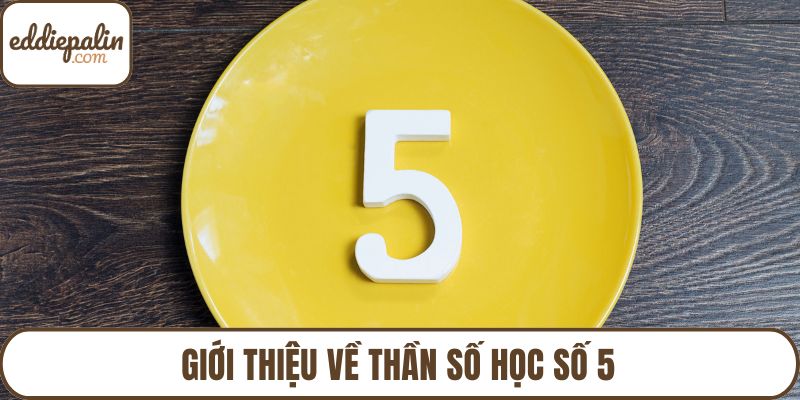Giới thiệu về thần số học số 5