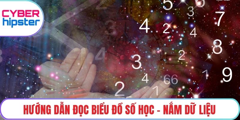 Hướng dẫn đọc biểu đồ số học - Nắm dữ liệu
