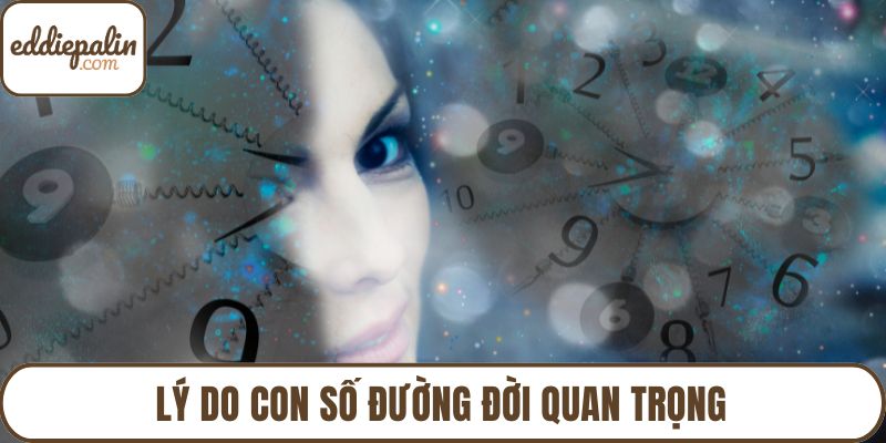 Lý do con số đường đời quan trọng