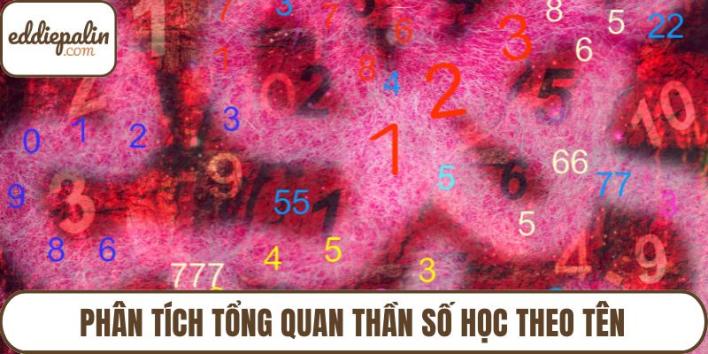 Phân tích tổng quan thần số học theo tên