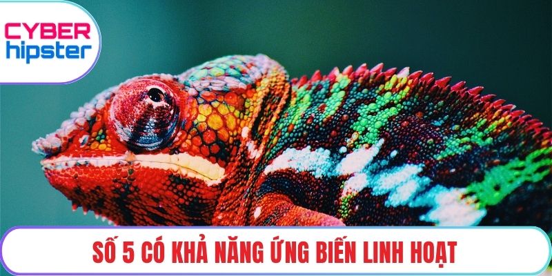 Số 5 có khả năng ứng biến linh hoạt