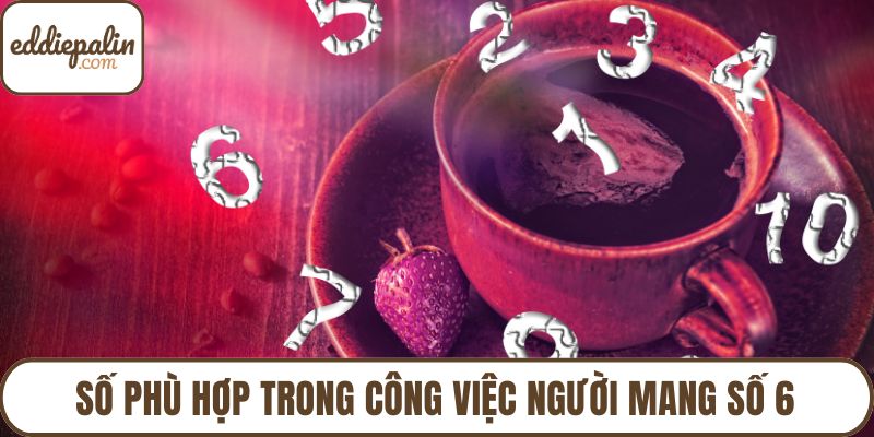 Số phù hợp trong công việc người mang số 6