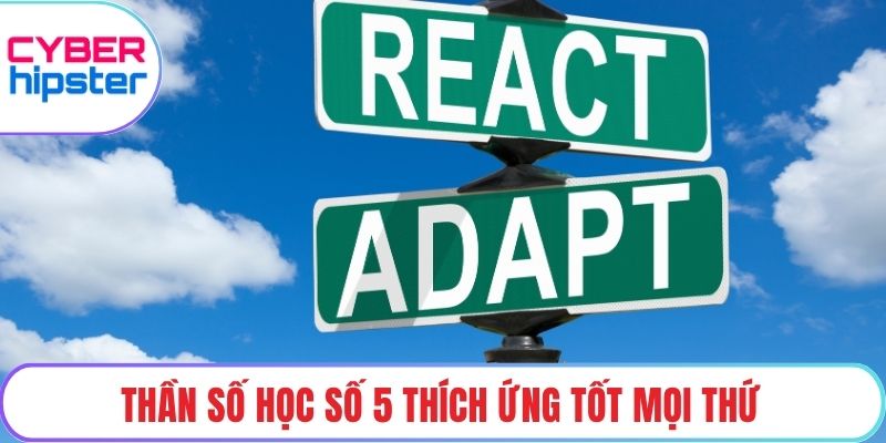 Thần số học số 5 thích ứng tốt mọi thứ