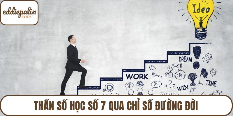 Thần số học số 7 qua chỉ số đường đời