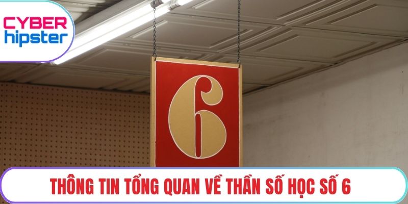 Thông tin tổng quan về thần số học số 6