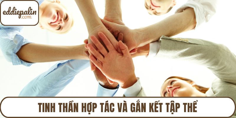 Tinh thần hợp tác và gắn kết tập thể