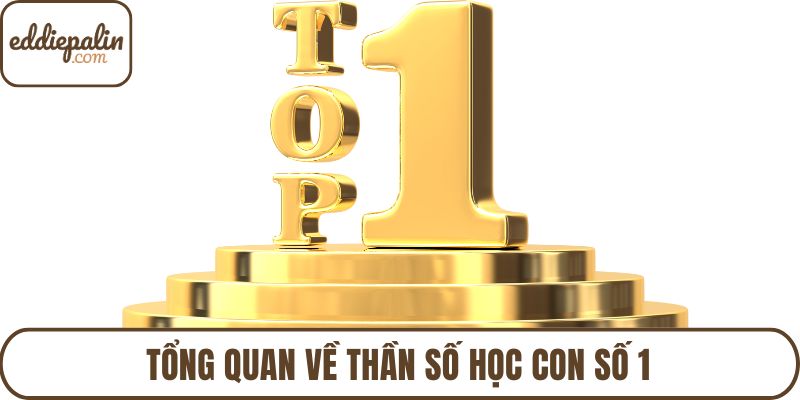 Tổng quan về thần số học con số 1