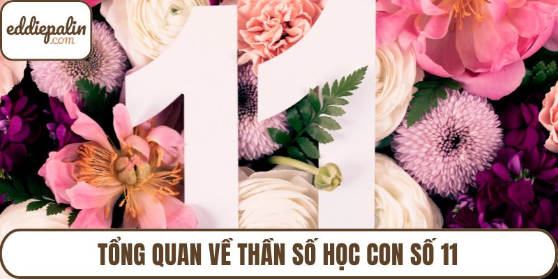Tổng quan về thần số học con số 11
