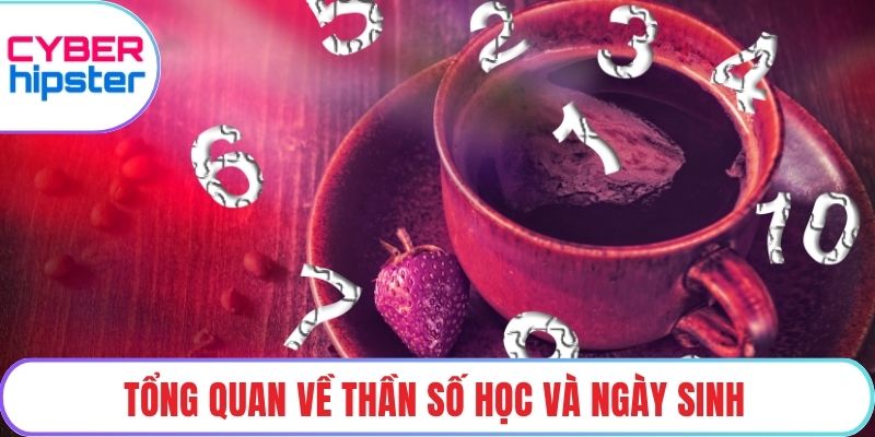 Tổng quan về thần số học và ngày sinh